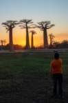 _25lug24_baobab140_small.jpg