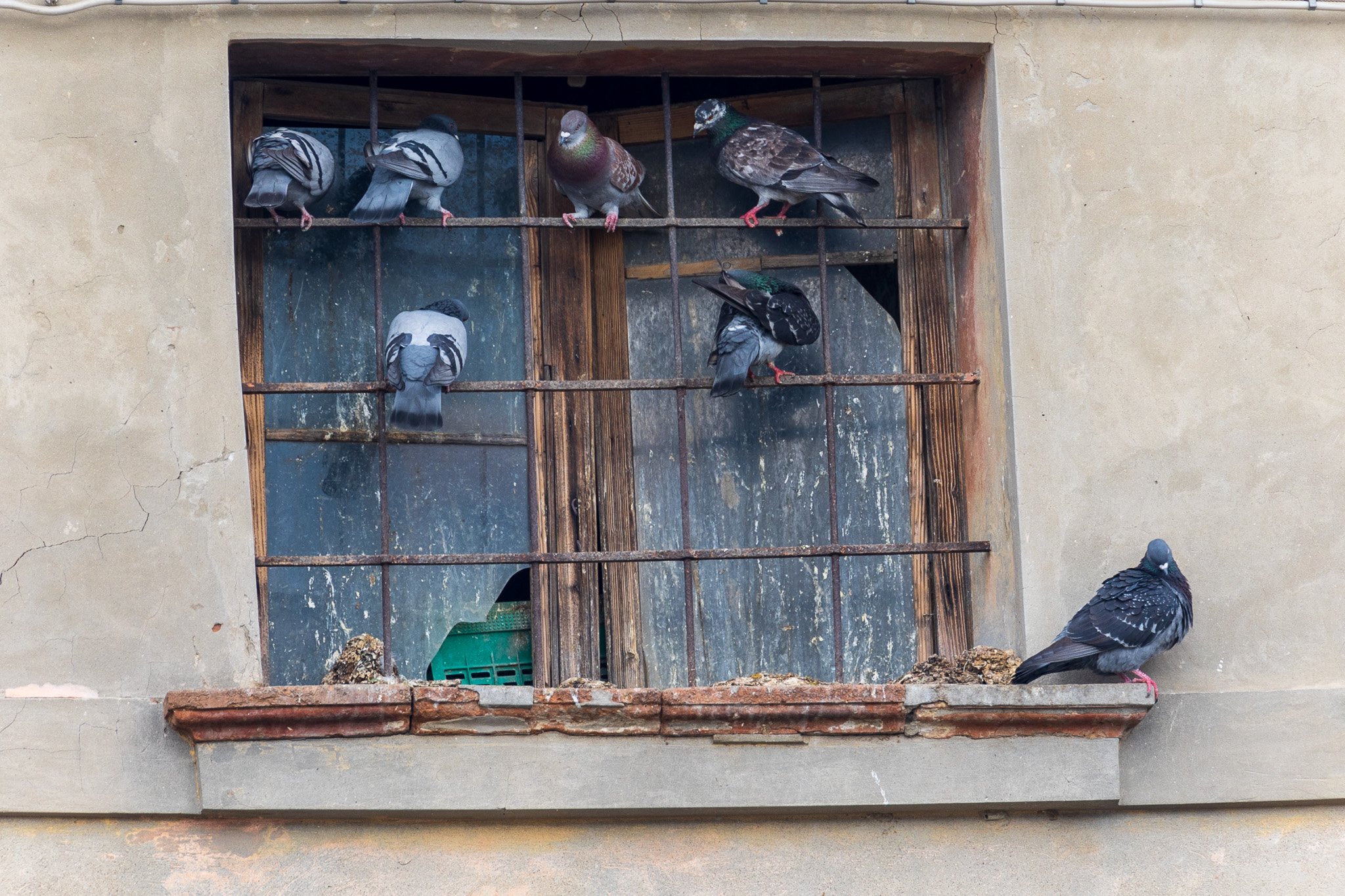 comacchio18apr23014.jpg