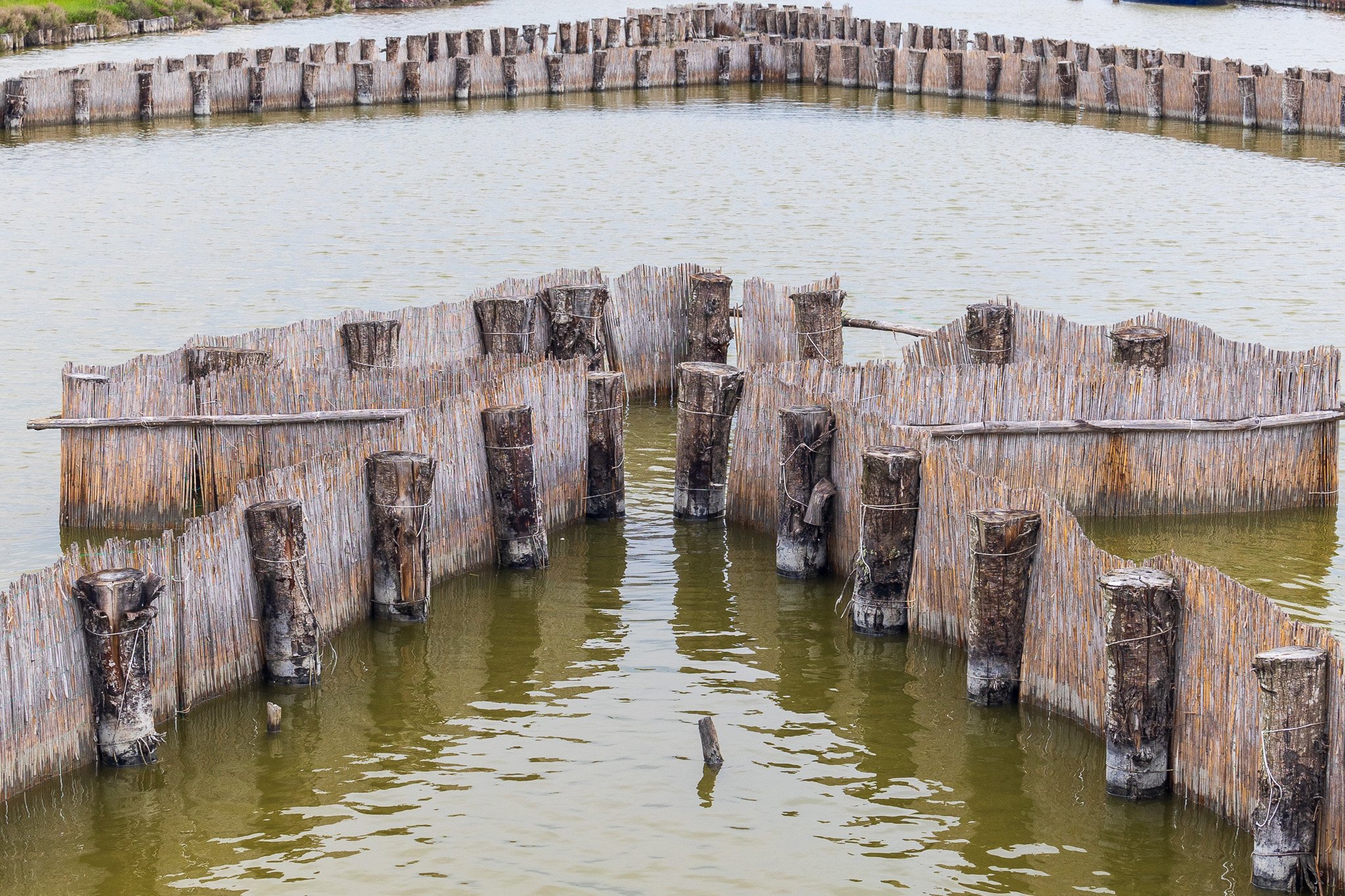 comacchio18apr23084.jpg