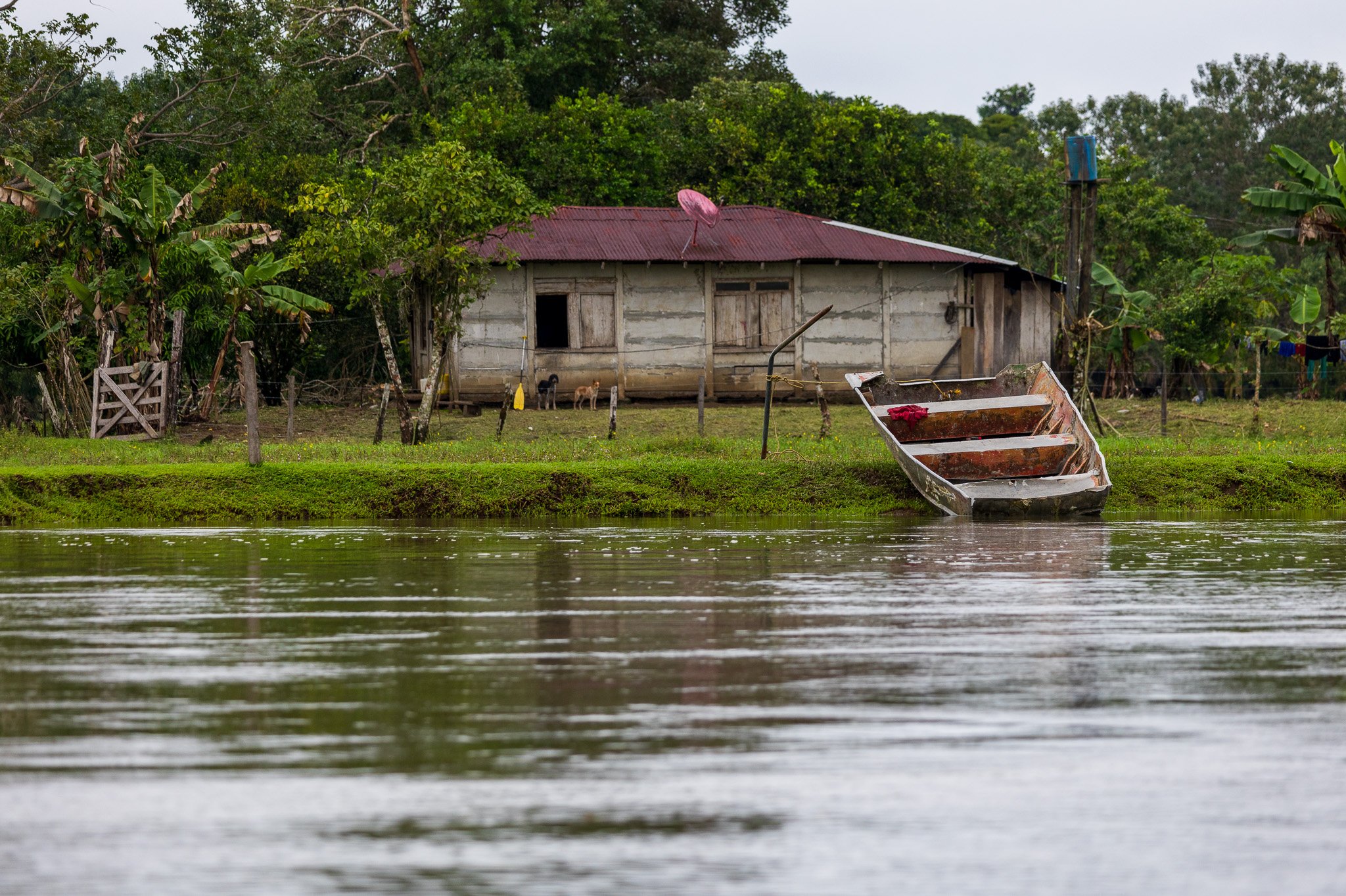 dic24tortuguero11.jpg