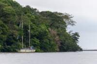 dic24tortuguero24_small.jpg