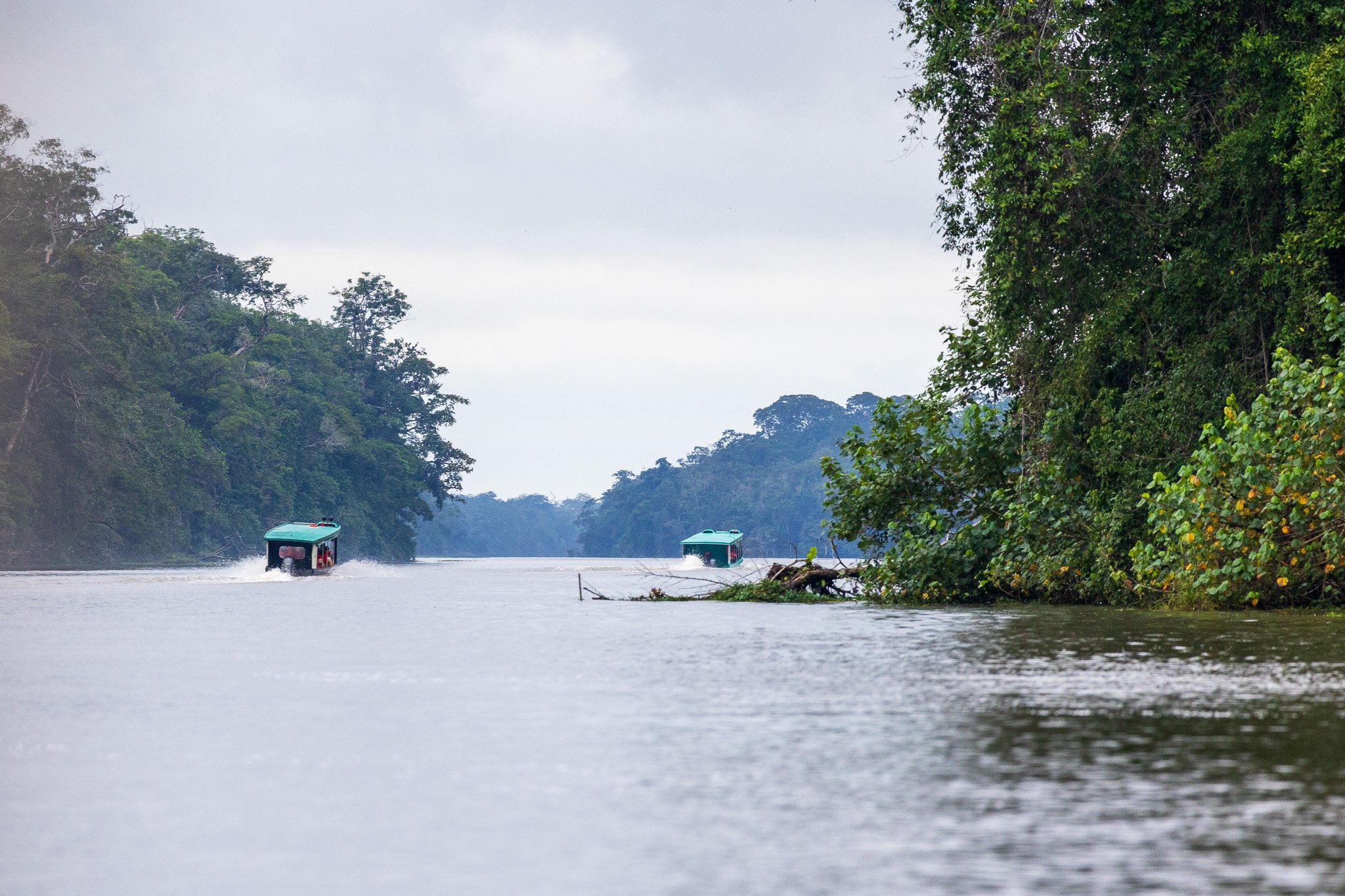 dic24tortuguero32.jpg