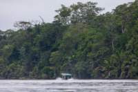 dic24tortuguero33_small.jpg