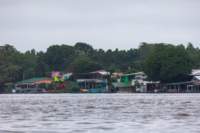 dic24tortuguero39_small.jpg