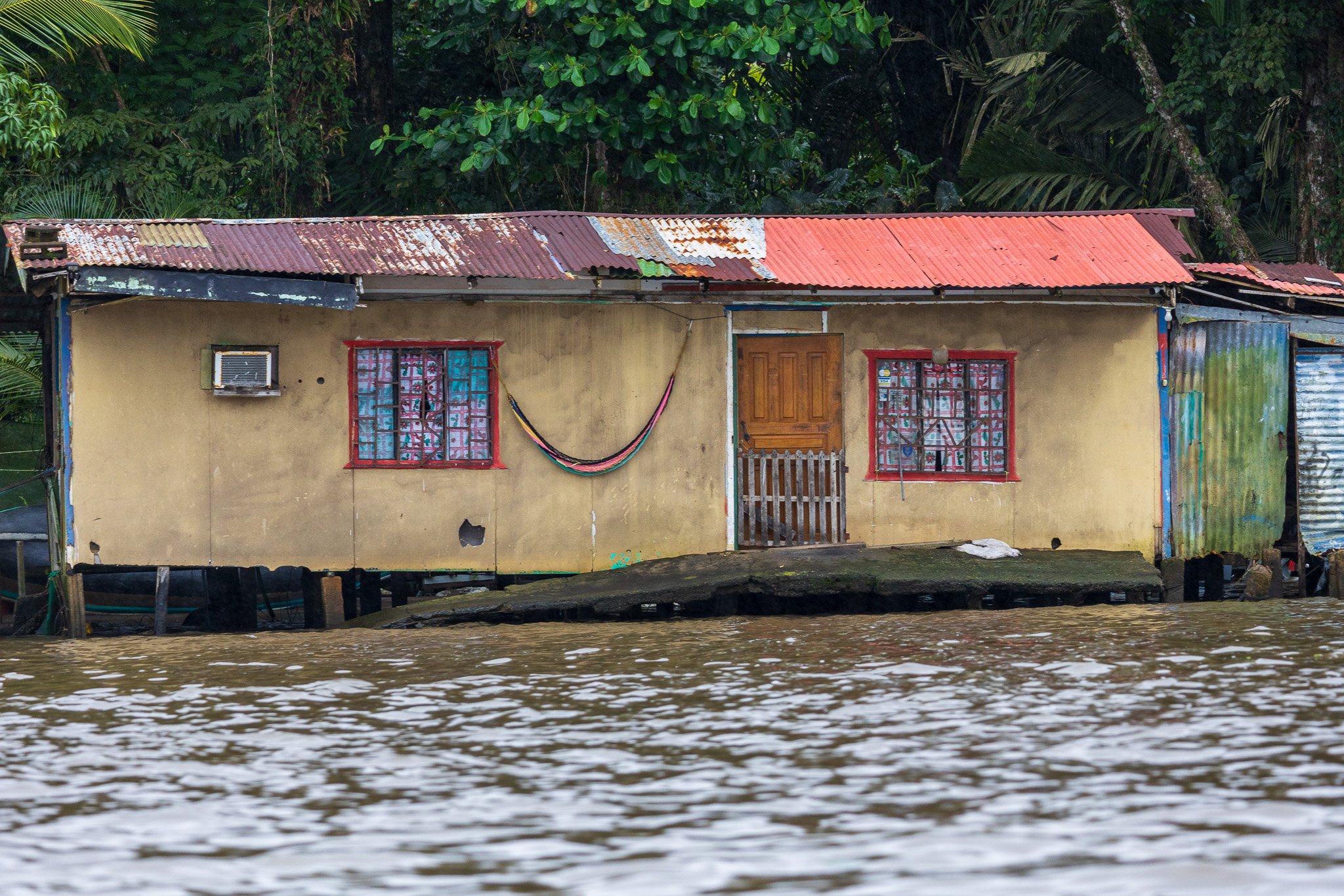 dic24tortuguero40.jpg