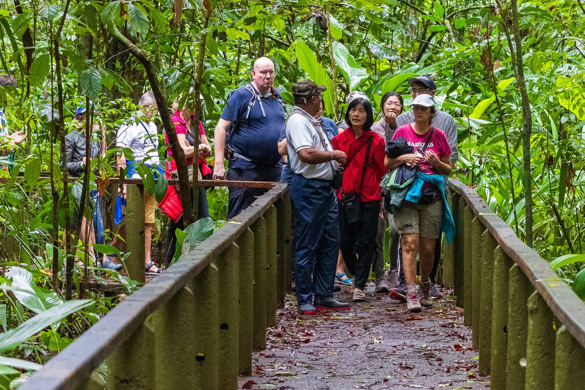 dic24tortuguero43.jpg