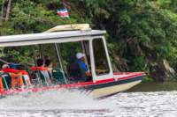 dic24tortuguero48_small.jpg