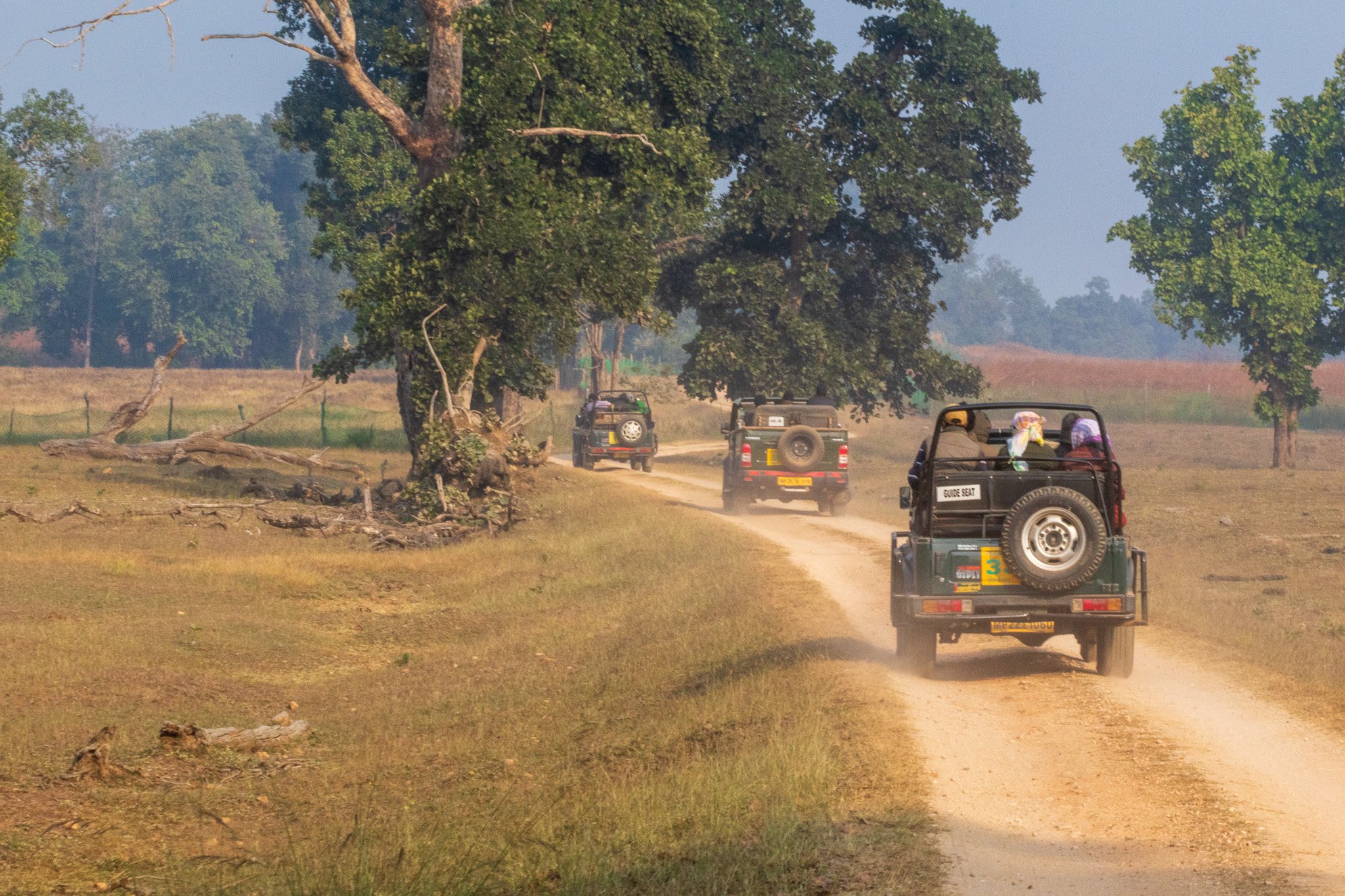 _india_18nov2023_pench159.jpg