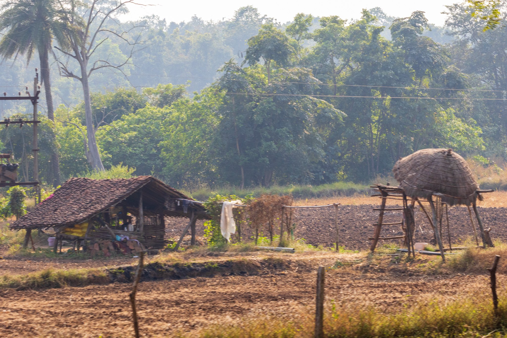 _india_18nov2023_pench9.jpg