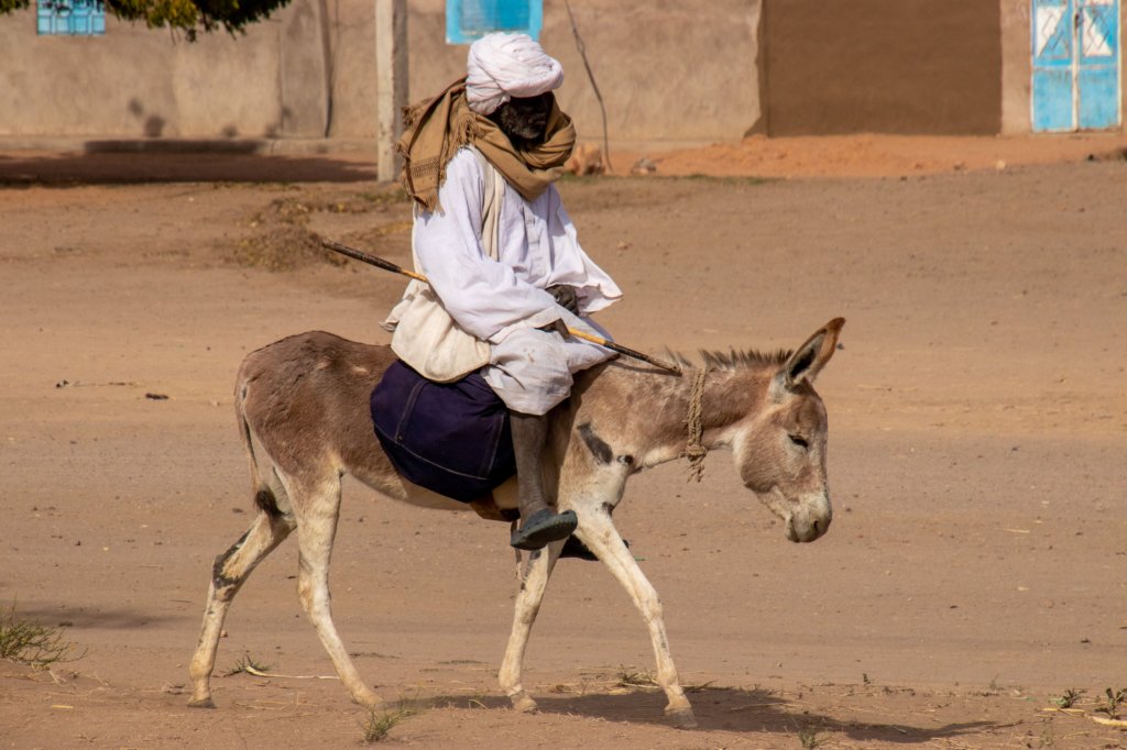 nubia_2023feb15_0177.jpg