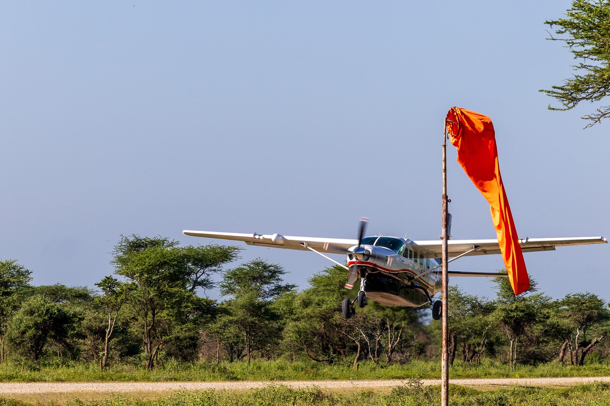 tanz21feb24serengeti19.jpg