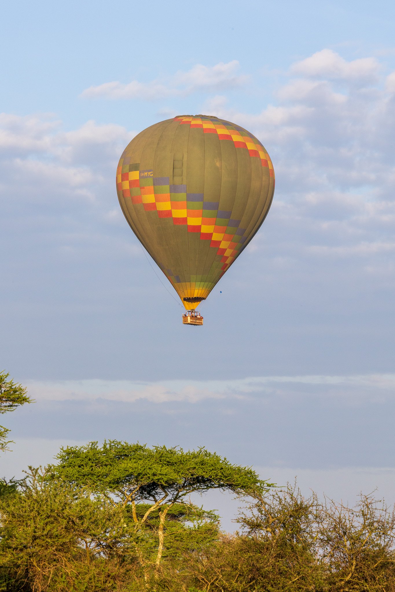 tanz21feb24serengeti3.jpg