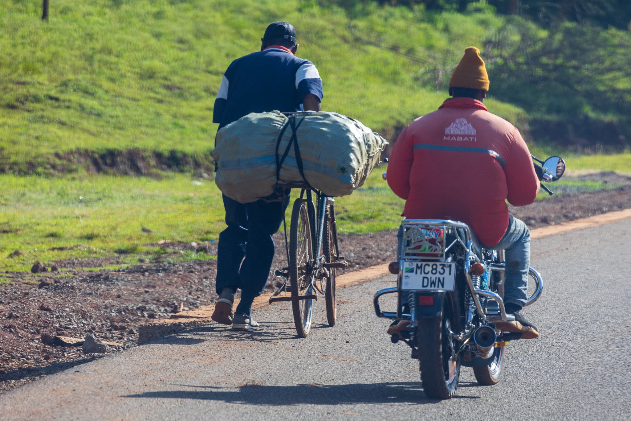 tanz22feb24verso_tarangire4.jpg